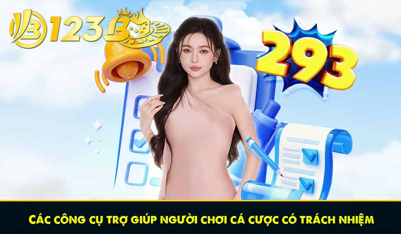 CÁ CƯỢC CÓ TRÁCH NHIỆM 66 Các công cụ trợ giúp người chơi cá cược có trách nhiệm